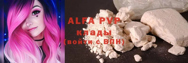 хмурый Каменка