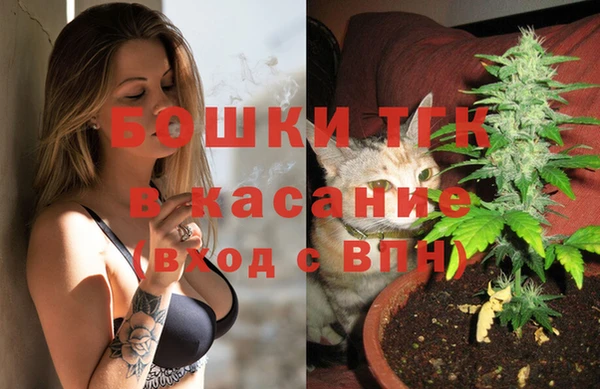 apvp Осташков