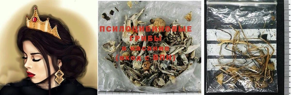 винт Осинники