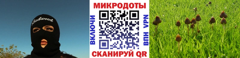 mega tor  продажа наркотиков  Богучар  Галлюциногенные грибы прущие грибы 
